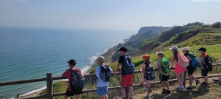 Wölflinge genießen den Meerblick